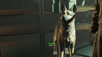 Fallout4-DogemeatNPC.png