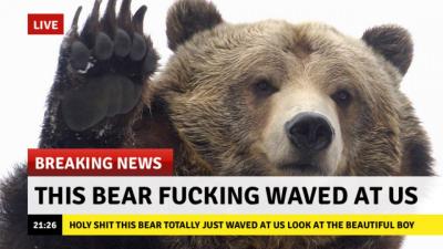 BearWaveNews.jpg